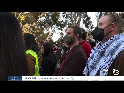 UAW 4811 rallies in support of protestors arrested at UCSD