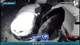 دب يفاجئ قائد مركبة