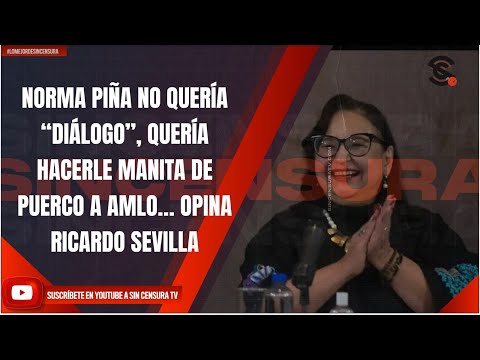 NORMA PIÑA NO QUERÍA “DIÁLOGO”, QUERÍA HACERLE MANITA DE PUERCO A AMLO… OPINA RICARDO SEVILLA