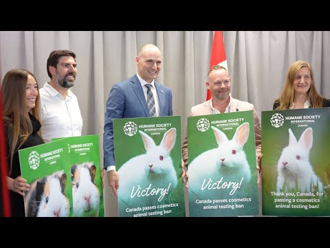 Canada bans cosmetics animal testing and trade