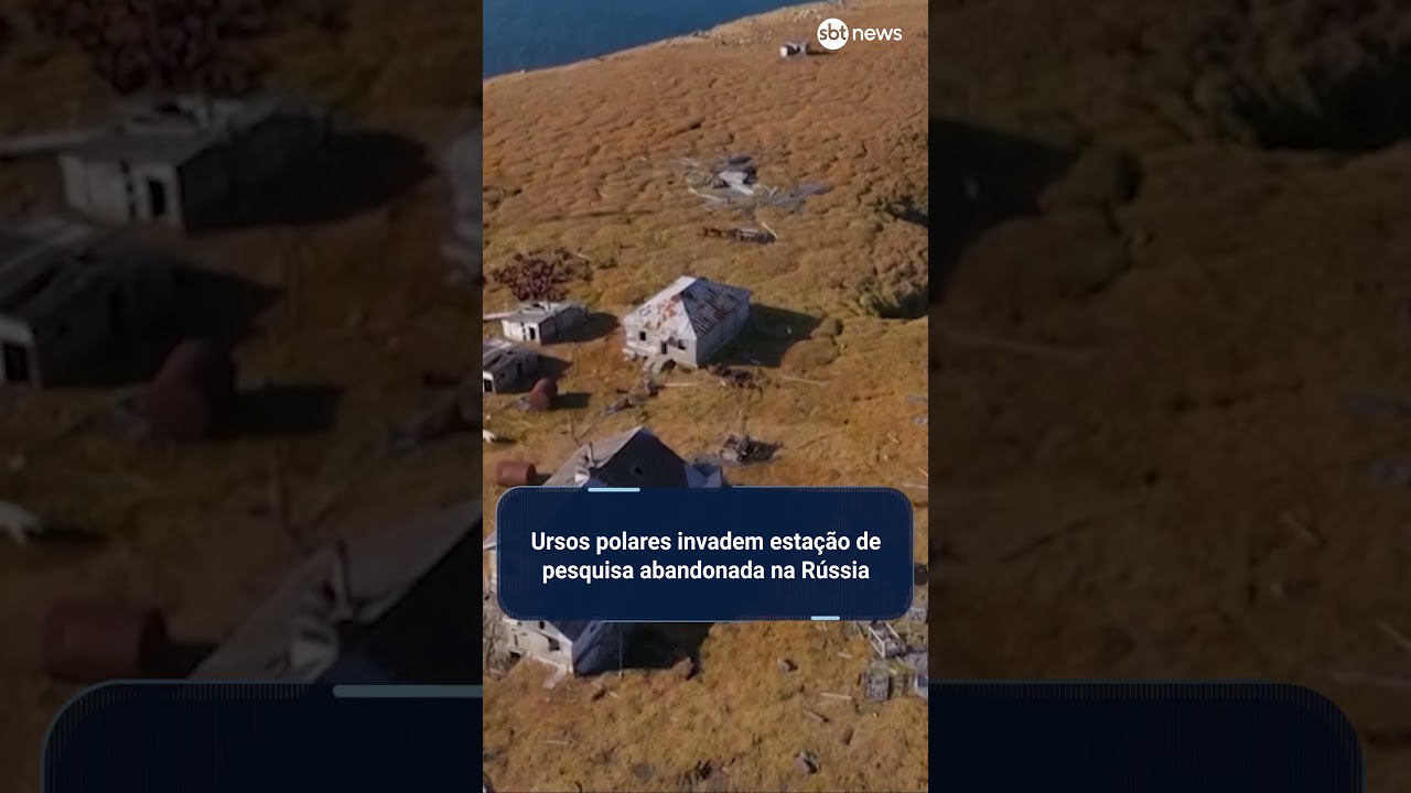 Ursos polares ocupam estação de pesquisa soviética abandonada na Rússia