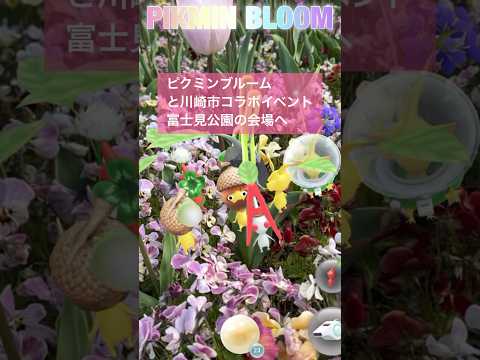 ピクミンと川崎市のコラボイベントへ②【富士見公園】 2025.4.12 #pikmin