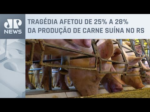 Cidade agrícola de Travesseiro, no Vale do Taquari é devastada pelas águas