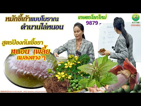 กำจัดเพลี้ย-หนอน-แมลง-เชื้อรา- กำจัดเพลี้ย-หนอน-แมลง-เชื้อรา-