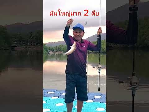 โคตรปลาเห็ดโคนfishingตกปลาm