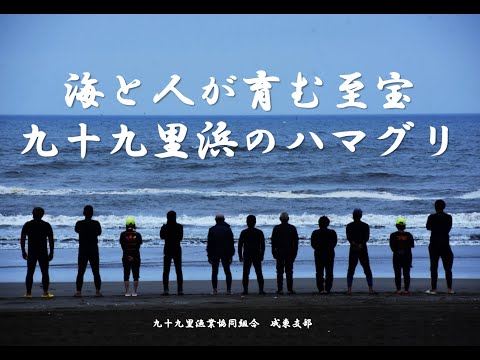 広報さんむ10月号特集『海と人が育む至宝　九十九里浜のハマグリ』