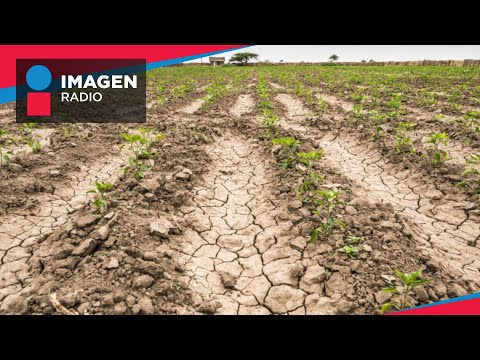 Clima extremo en México afecta la producción agrícola