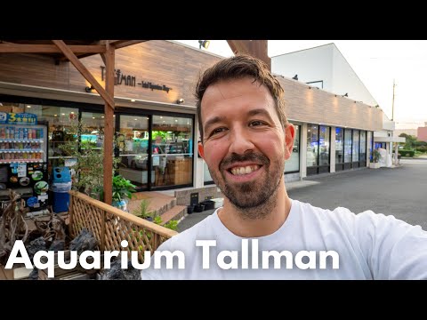 Aquarium Shop Tour in Japan! Aquarium Tallman