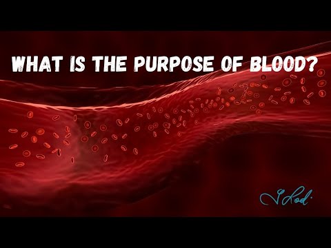 What Is The Purpose Of Blood?