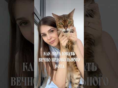 У тебя тоже недовольный кот? 😐 Артикул на Ozon: 1949508908