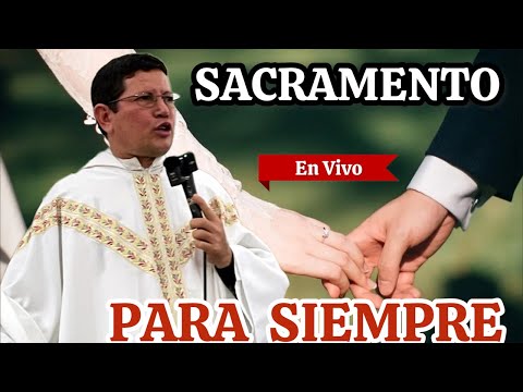 Padre Luis Toro En Vivo  SANTO MATRIMONIOBendición de DIOS