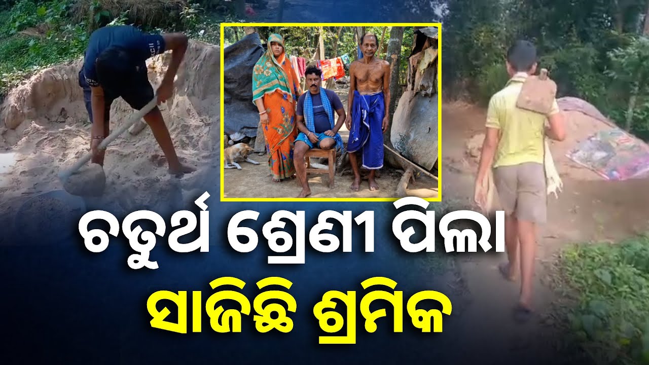 ପରିବାର ବୋଝ ତଳେ ୧୨ ବର୍ଷର ବାଦଲ, ଘର ଲୋକଙ୍କ ପେଟକୁ ଦାନା ଦେବା ପାଇଁ ଲାଗୁଛି ମୂଲ || Knews Odisha