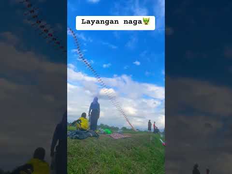 NAGA TERBANG😱 #cover #music #mashup #remix #song #est2 #subscribe #layangan#trending#fypシ#ahorts