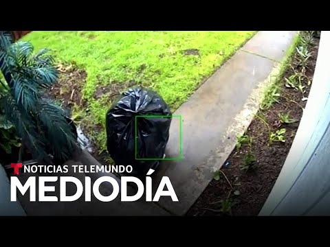 Un amigo de lo ajeno se disfrazó de bolsa de basura para robar un paquete | Noticias Telemundo
