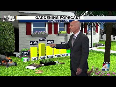 Do you like your forecast baked, broiled or fried?  Sizzling summer temperatures