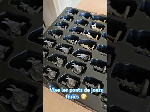 #preparation #blackrose wars de @LudusMagnusStudioLMS duel demain ! #jds #gaming #boardgames