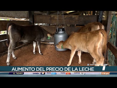 Ministro Valderrama reconoce aumento en precio de la leche