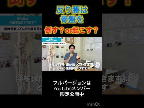 【切り抜き】反り腰を治すなら骨盤は後に倒すべきか?前に起こすべきか?#shorts