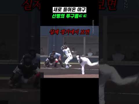 새로 들어온 <strong>야구</strong> 신삥의 투구폼ㄷㄷ