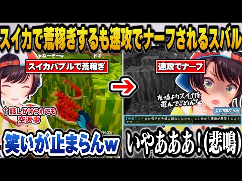 【#ホロ金策サバイバル】友情よりも金を選びスイカドリームで荒稼ぎするも速攻でスイカがナーフされ畑の悲しき獣になるスバルｗ【ホロライブ切り抜き/大空スバル】