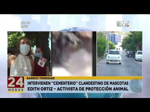 Intervienen cementerio clandestino de mascotas en Asunción, Trinidad