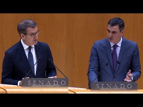 Cruce de reproches en el primer 'cara a cara' del año en el Senado entre Sánchez y Feijóo