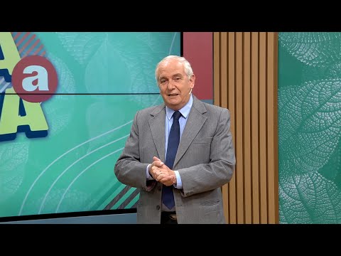 El clima con José Serra: ¿Para cuándo se esperan más lluvias?