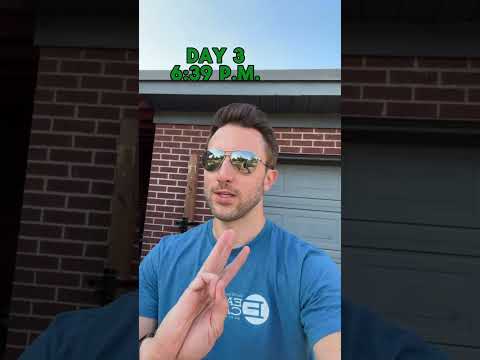 202 Plants in 2 Weekends | Full Yard Replant 🌱