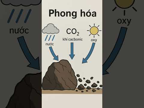 Phong hóa #short #phonghoa