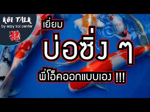 Koi-Talk-EP.-8-เยี่ยมบ่อซิ่งๆ- Koi-Talk-EP.-8-เยี่ยมบ่อซิ่งๆ-
