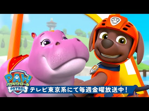 パウ・パトロール、ズーマのアニマルレスキュー&アドベンチャー!