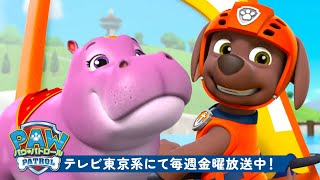 動画サムネイル