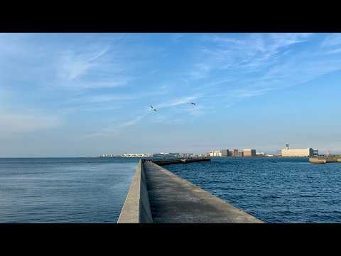 全てみせます。今季最高のサビキ釣り