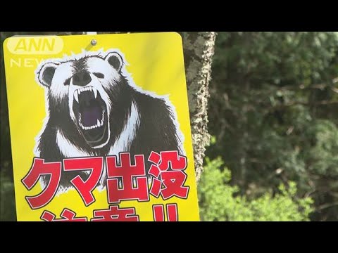 ニュースの動画サムネイル - クマに襲われ32歳男性けが　シカ捕獲のため山林に　長野・小諸市(2025年5月4日)
