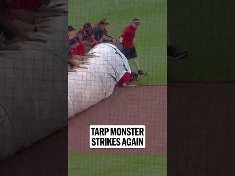 THE TARP MONSTER STRIKES AGAIN!