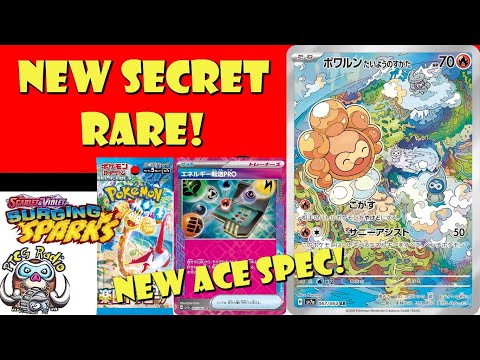 Pokemon TCG News