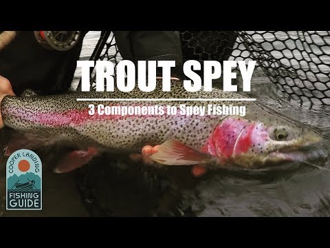 Trout Spey Fishing - 3 Keys to Success in Spey Fishing