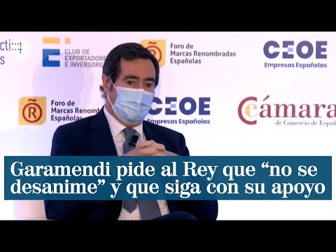 Garamendi pide al Rey que no se desanime y siga con su apoyo a empresas españolas en el exterior
