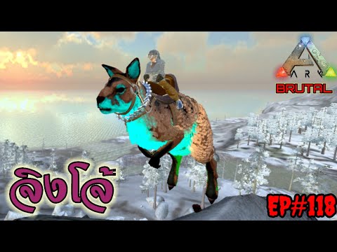 ARK-Mobile-EP.118-จับจิงโจ้-ตั ARK-Mobile-EP.118-จับจิงโจ้-ตั