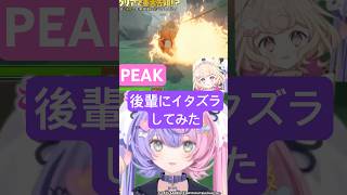 【PEAK】大流行中の協力き〇くゲーで後輩にイタズラしてみた【若魔雲ふわり/若魔藤あんず/にゃんたじあ！】#shorts #peak #vt