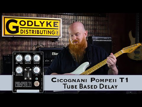 Cicognani Pompeii T1 Delay Demo