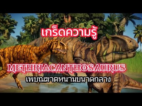 เกร็ดความรู้ตอนที่52เมเทียแค