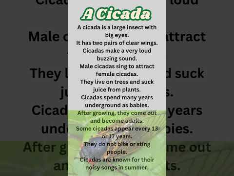 10 lines essay on Insect A Cicada in English/effects of Cicada in Plants/Benefits of Insects/Helpful