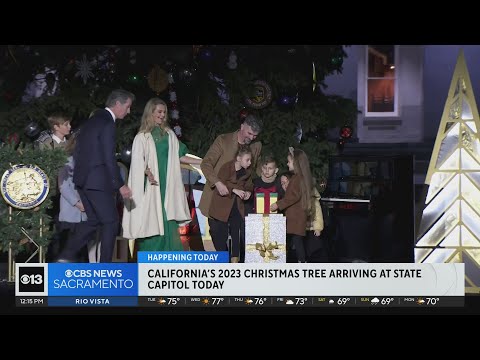 California Capitol Christmas tree arrives on Wednesday