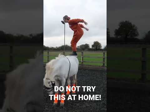 DO NOT TRY THIS AT HOME! Backflipping Off My Horse 😳