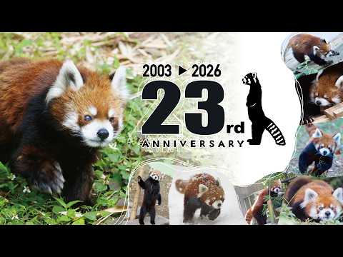 【アーカイブ】2026.7.5 風太23歳誕生日ライブ配信