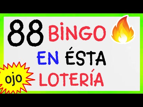 NÚMEROS GANADORES..! (( 88 )) BINGO hoy /loteria NEW YORK/ SORTEOS de las LOTERÍAS/ RESULTADO de HOY