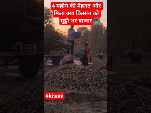 किसान का दर्द कोई नहीं समझने वाला है किसान का दर्द किसान और मजदूर ही समझ सकता है #trendingshorts #