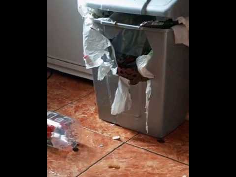 Срочно !!! когда банка с квасом взорвалась прямо на кухне! #лучшие приколы #прикол