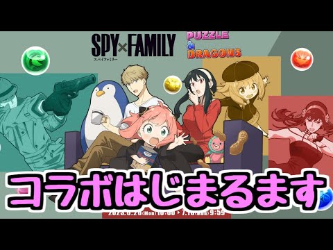 【生放送】スパイファミリーコラボはじまるます！ クエストとかやりましょ～！ 【パズドラ】